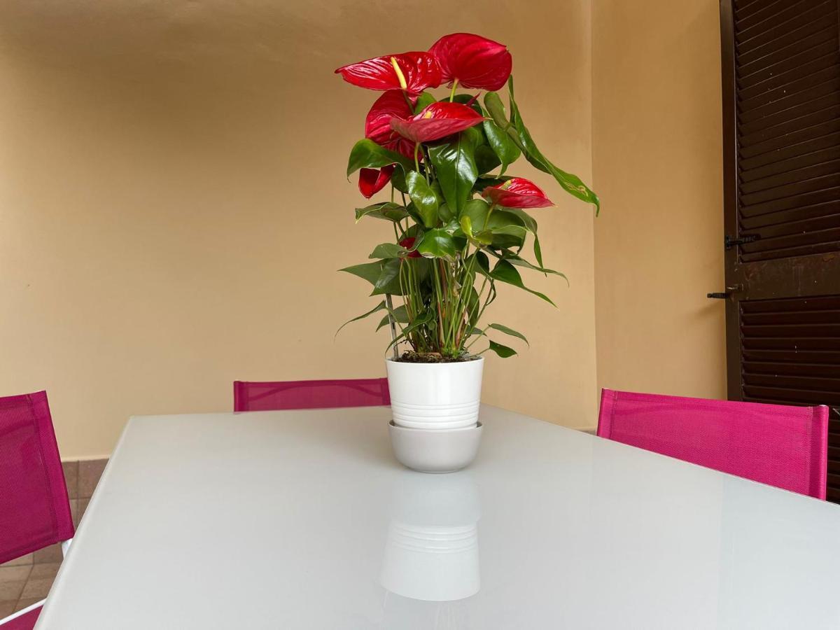 Flowers In רומא מראה חיצוני תמונה