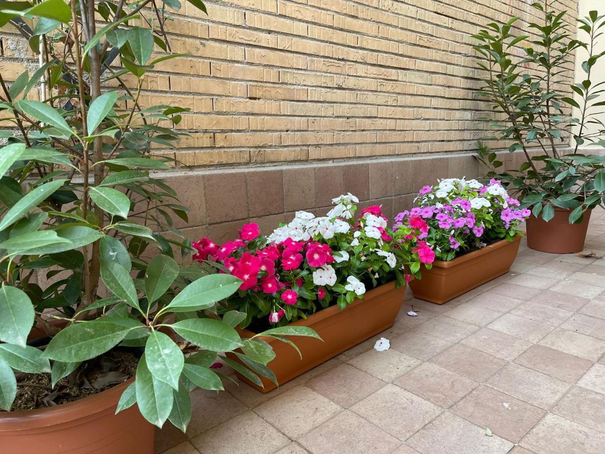 Flowers In רומא מראה חיצוני תמונה
